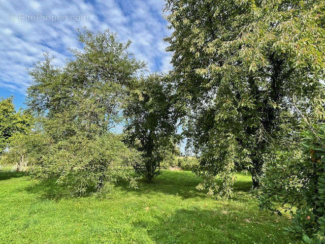 Autre à CHOISY-EN-BRIE