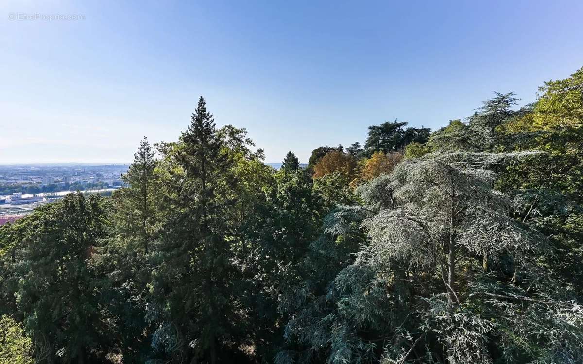 Appartement à SAINTE-FOY-LES-LYON