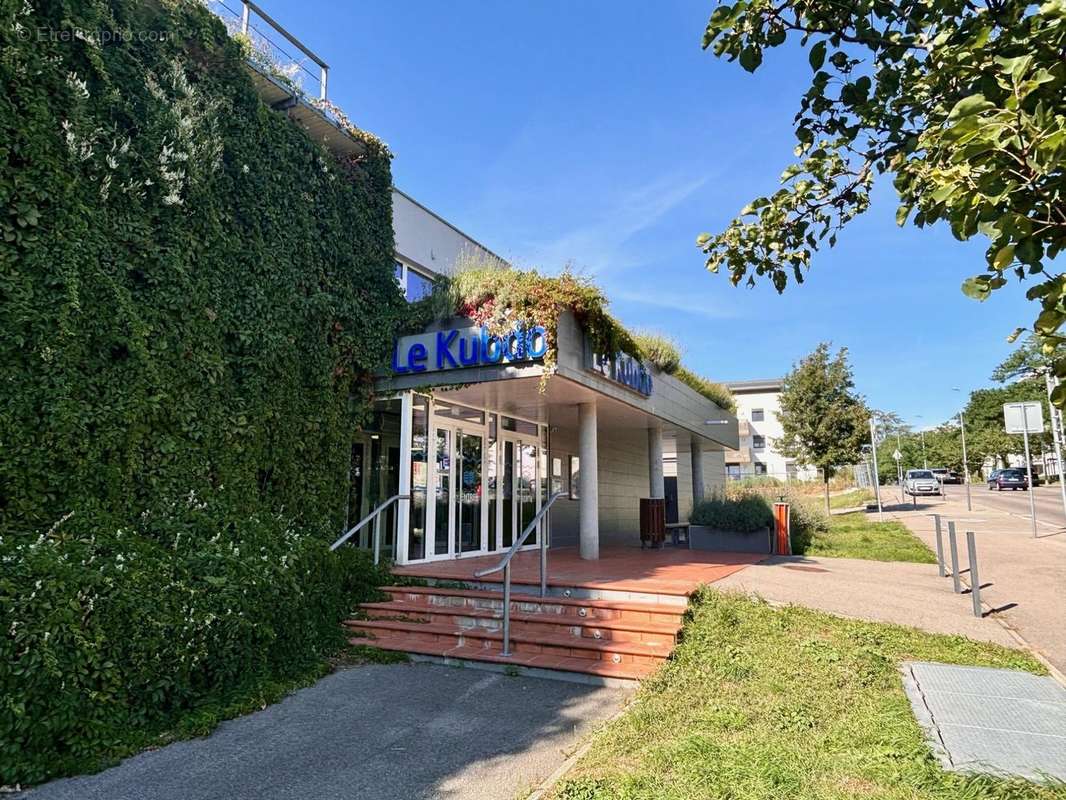 Piscine KUBDO face à l&#039;immeuble - Appartement à SAINTE-FOY-LES-LYON