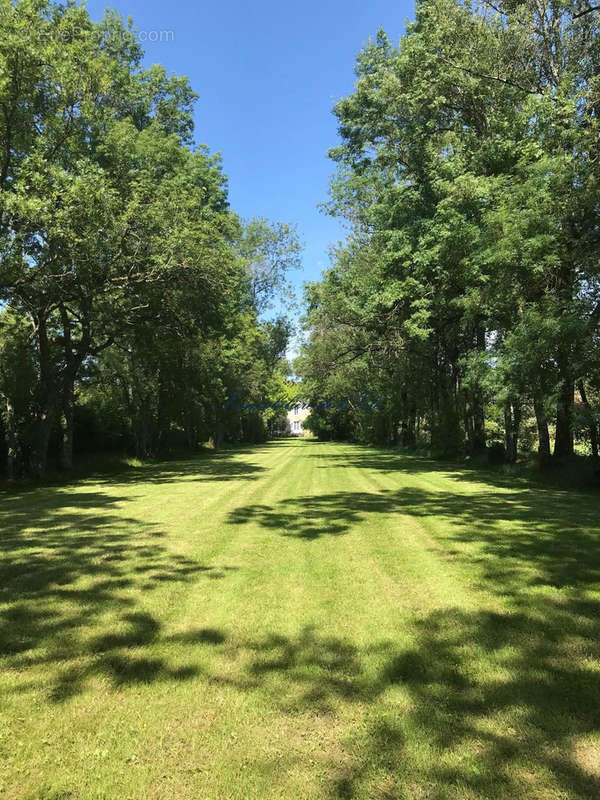 Parc - Maison à PLASSAC