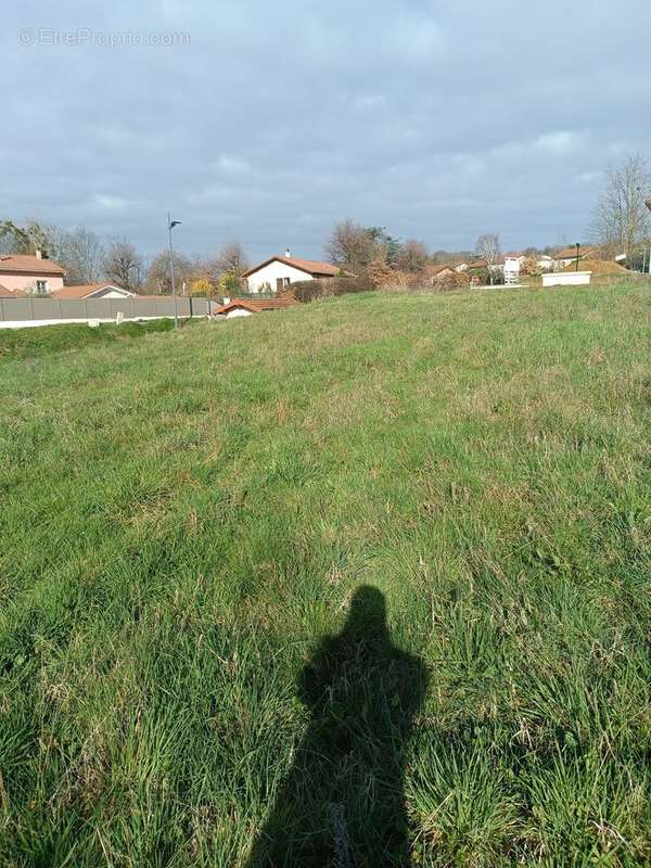 Terrain à LA CHAPELLE-DE-SURIEU