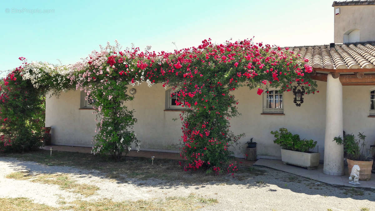 Maison à SAINTES-MARIES-DE-LA-MER