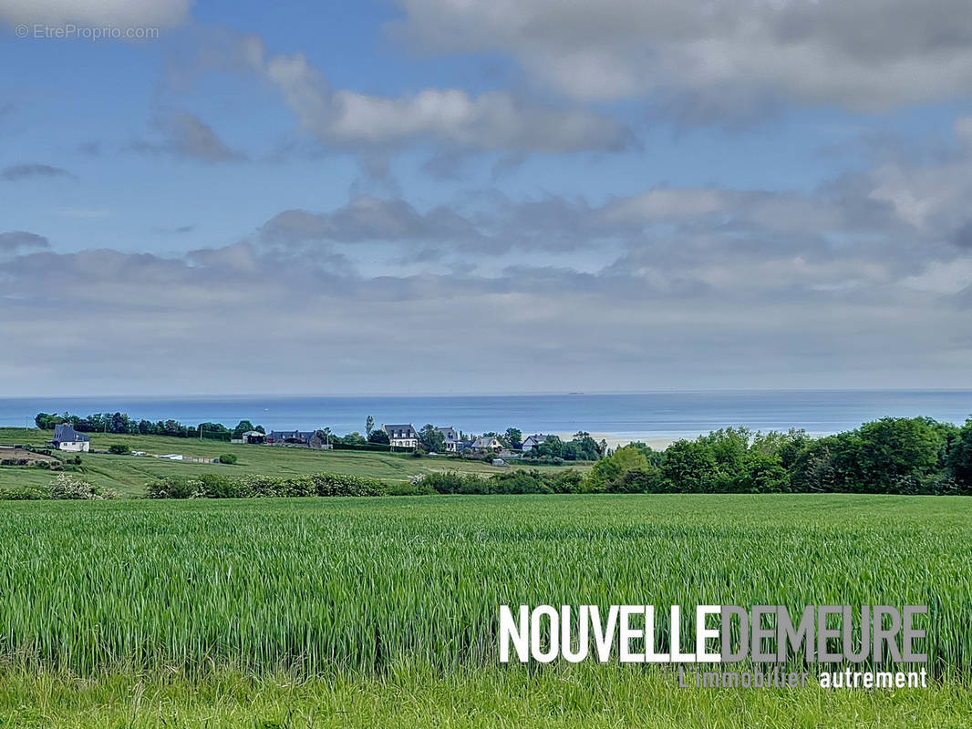 Terrain à LANGUEUX