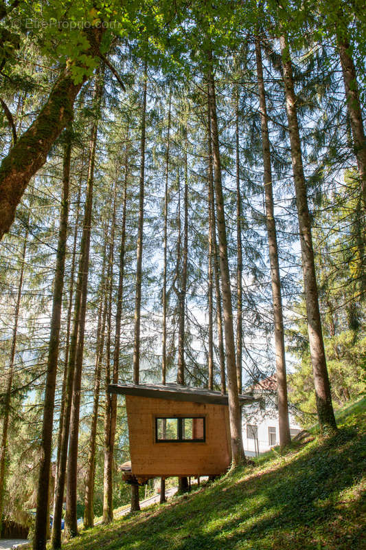 Maison à TALLOIRES