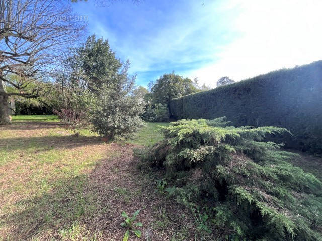 Terrain à TOULOUSE