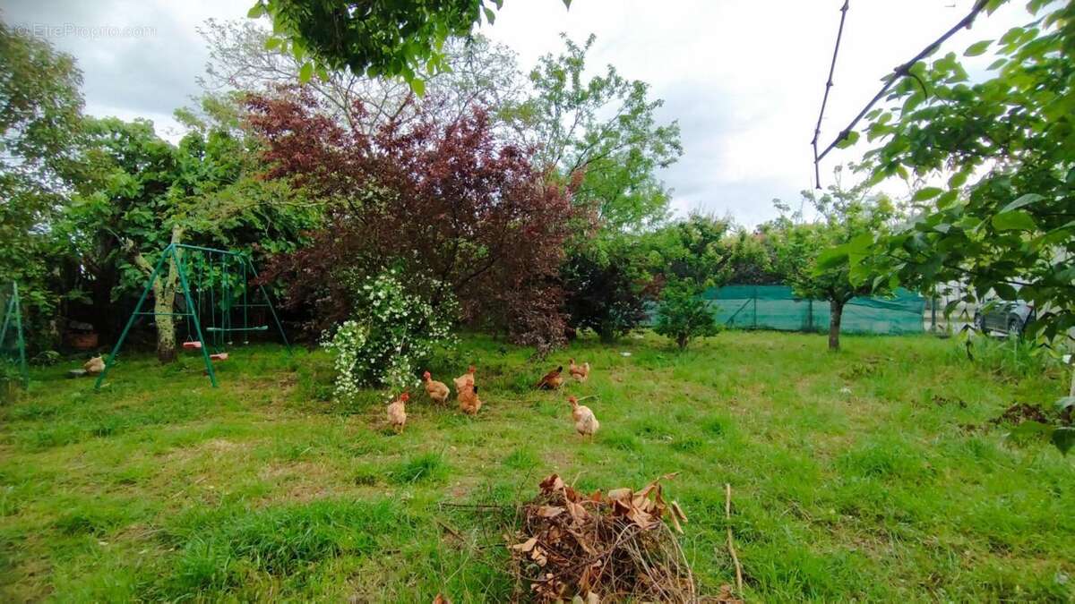 Terrain à COLOMIERS