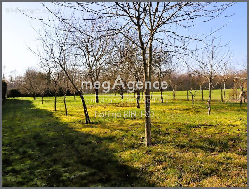 Terrain à LA FERTE-GAUCHER