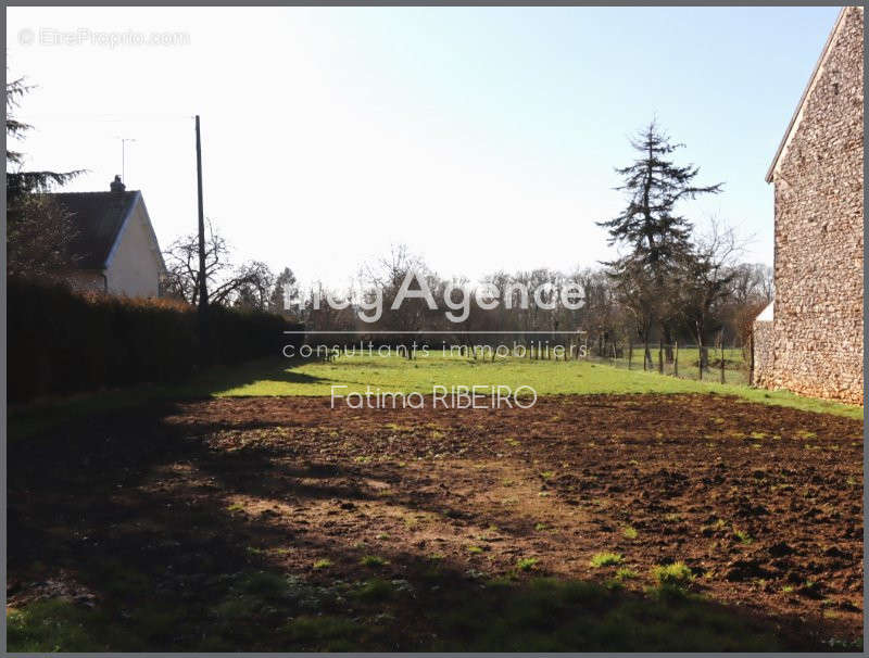 Terrain à LA FERTE-GAUCHER