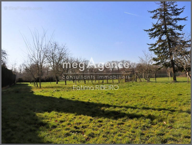 Terrain à LA FERTE-GAUCHER