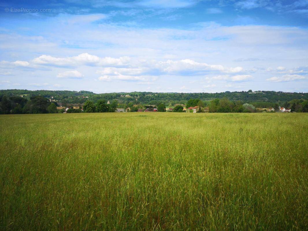 Terrain à LE BUISSON-DE-CADOUIN