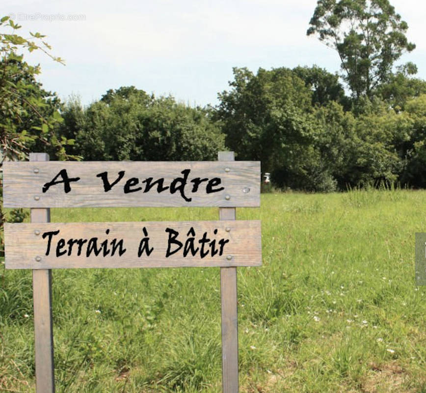 Terrain à MONTAUBAN