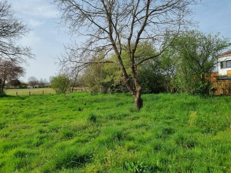 Terrain à MONTAUBAN