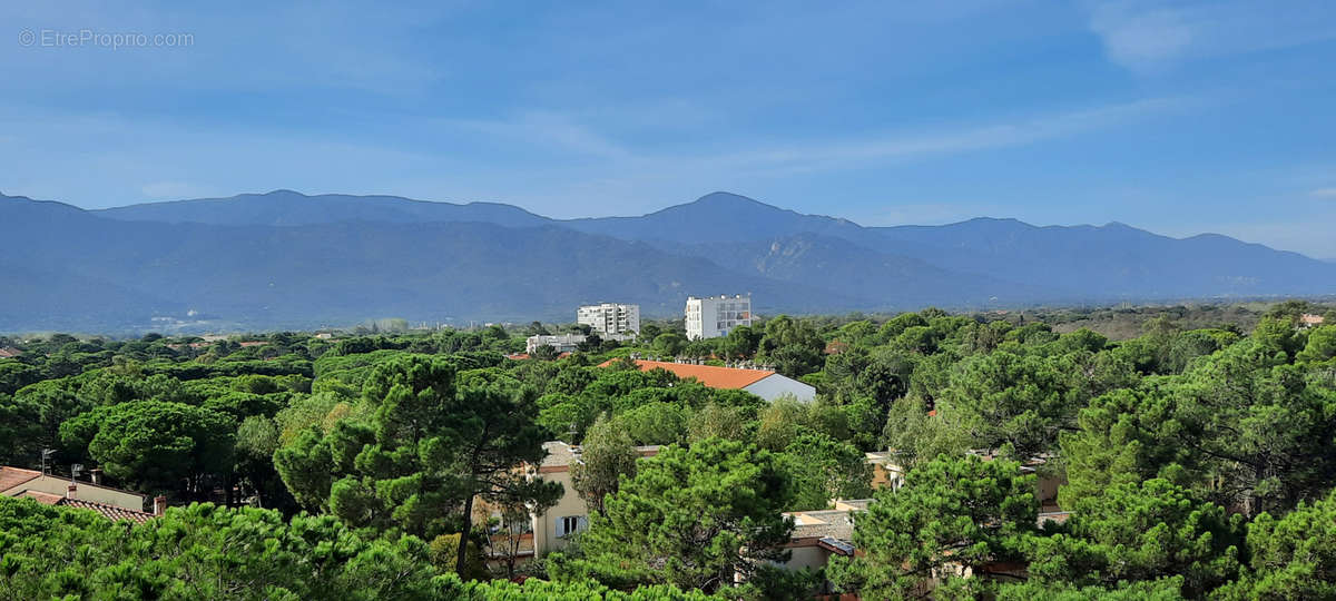 Appartement à ARGELES-SUR-MER