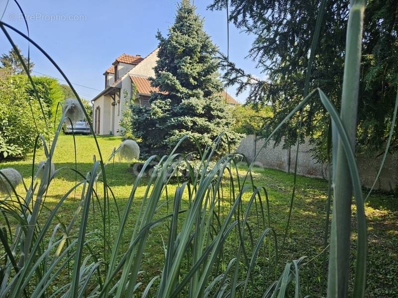 Maison à MERIEL