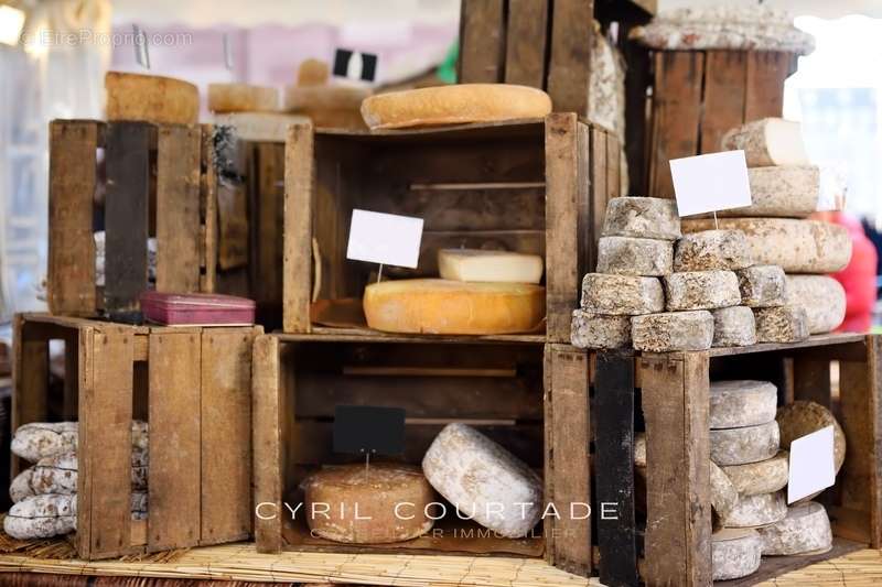 Commerce à PALAVAS-LES-FLOTS