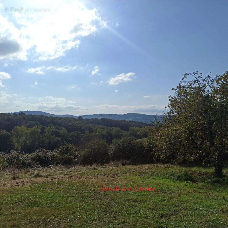 Terrain à SAINT-PANTALEON-DE-LARCHE