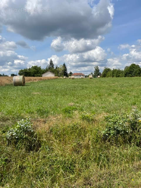 Terrain à BEAULIEU-SUR-LOIRE