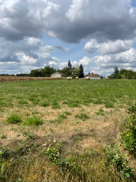 Terrain à BEAULIEU-SUR-LOIRE