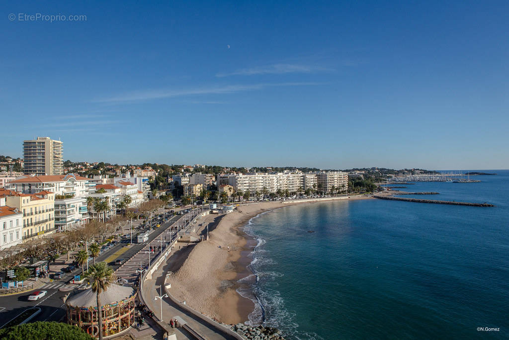 Commerce à SAINT-RAPHAEL