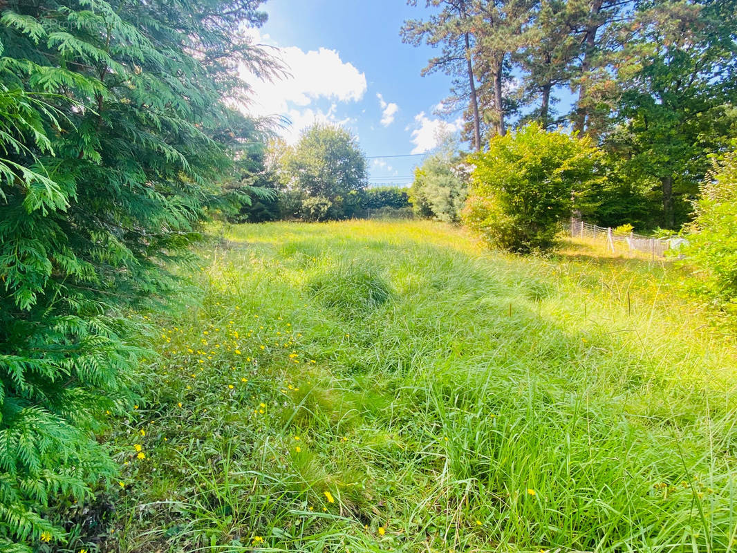 Terrain à ARCANGUES