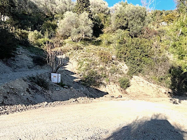 Terrain à MENTON