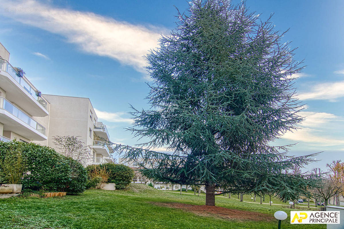 Appartement à SAINT-GERMAIN-EN-LAYE