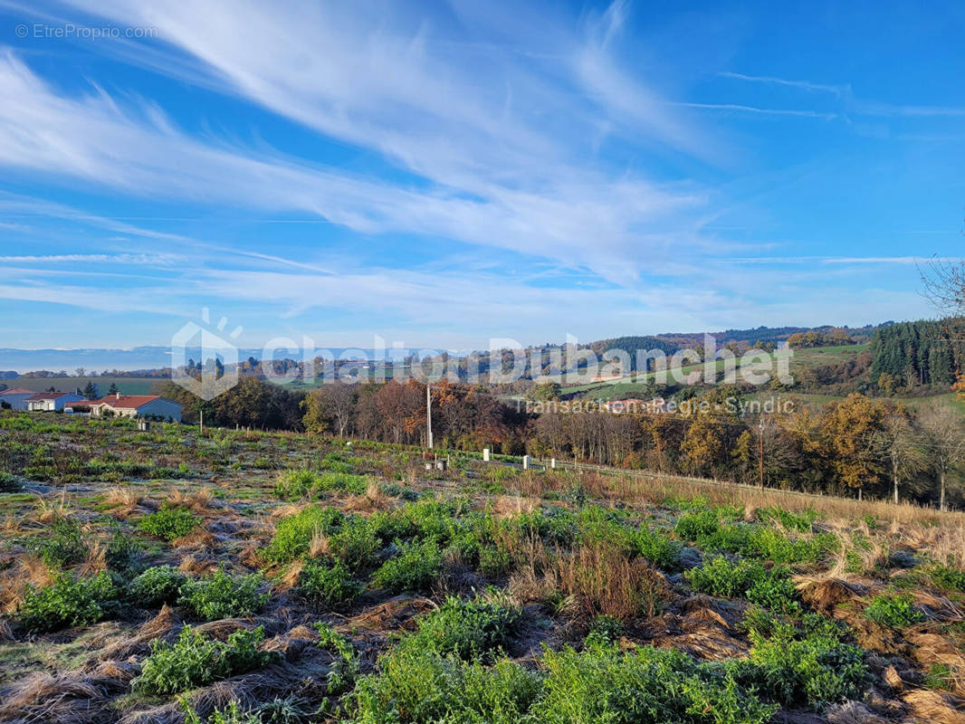 Terrain à MONTCHAL