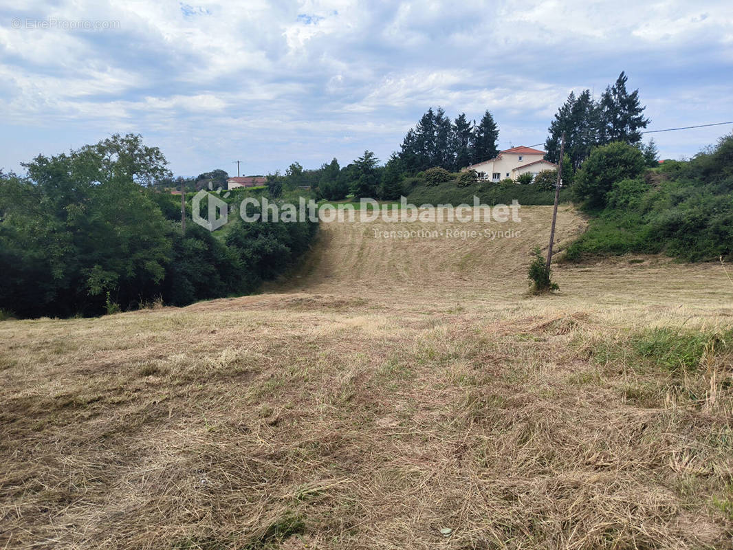 Terrain à BUSSIERES