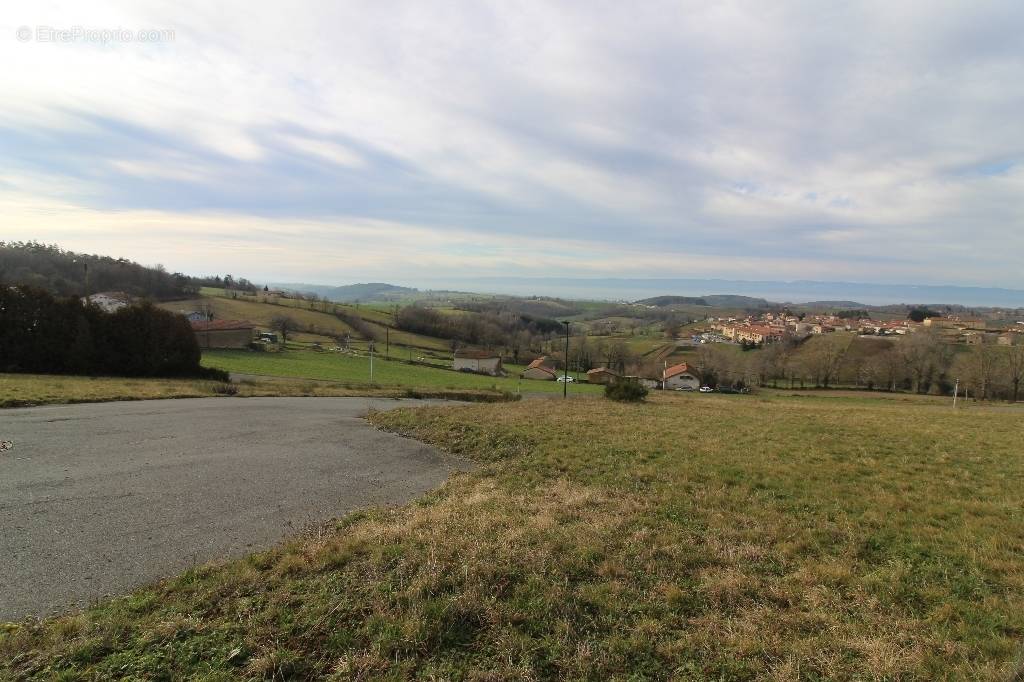 Terrain à MONTCHAL