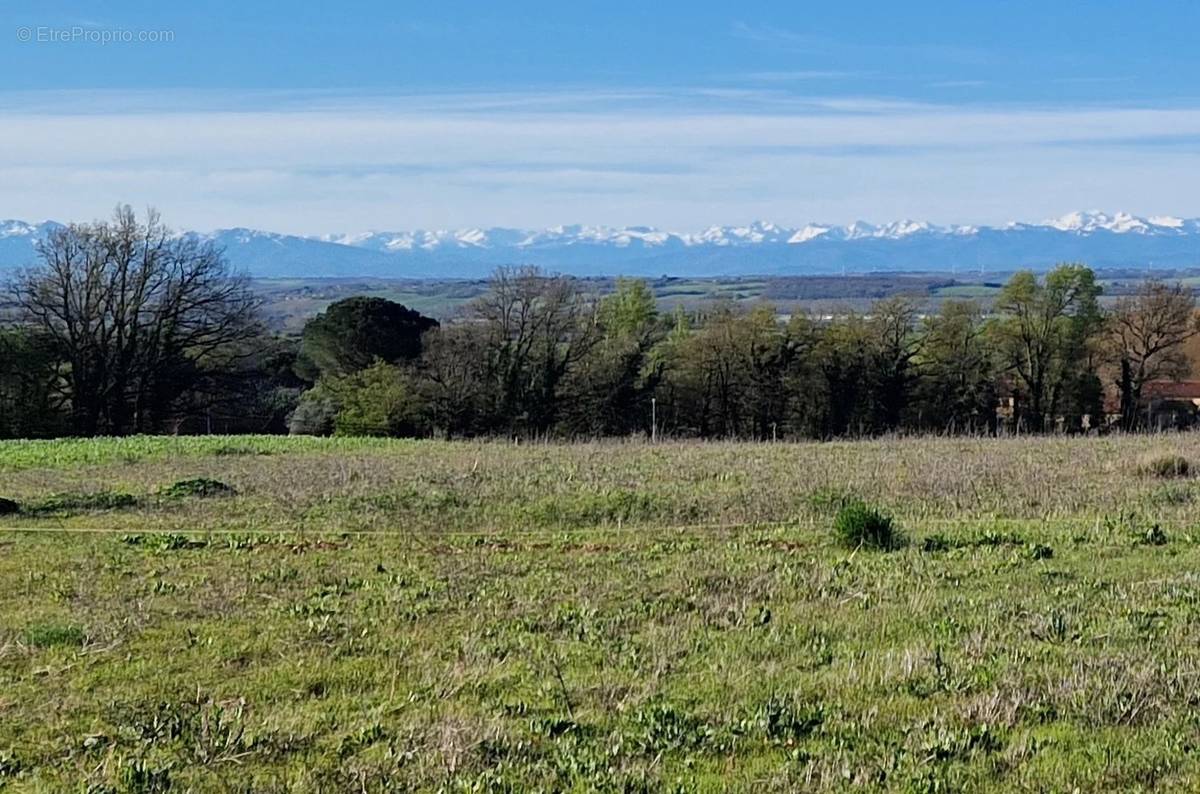 Terrain à LABASTIDE-BEAUVOIR