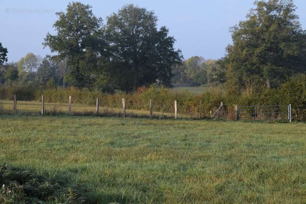 Terrain à LACANCHE