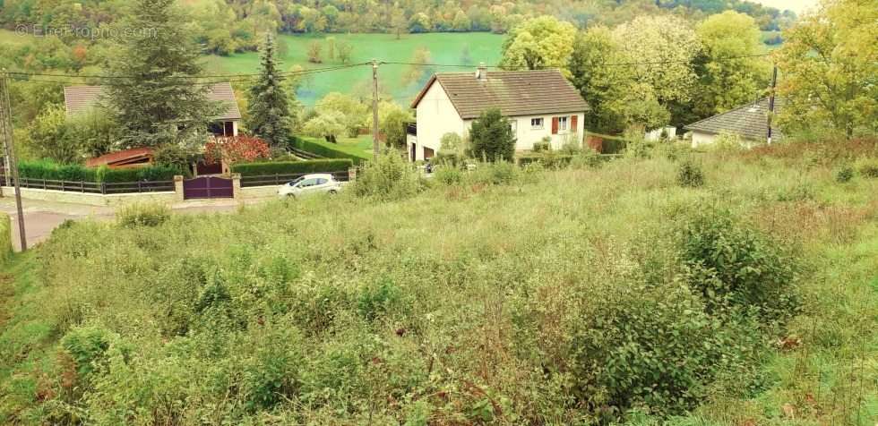 Terrain à BLIGNY-SUR-OUCHE