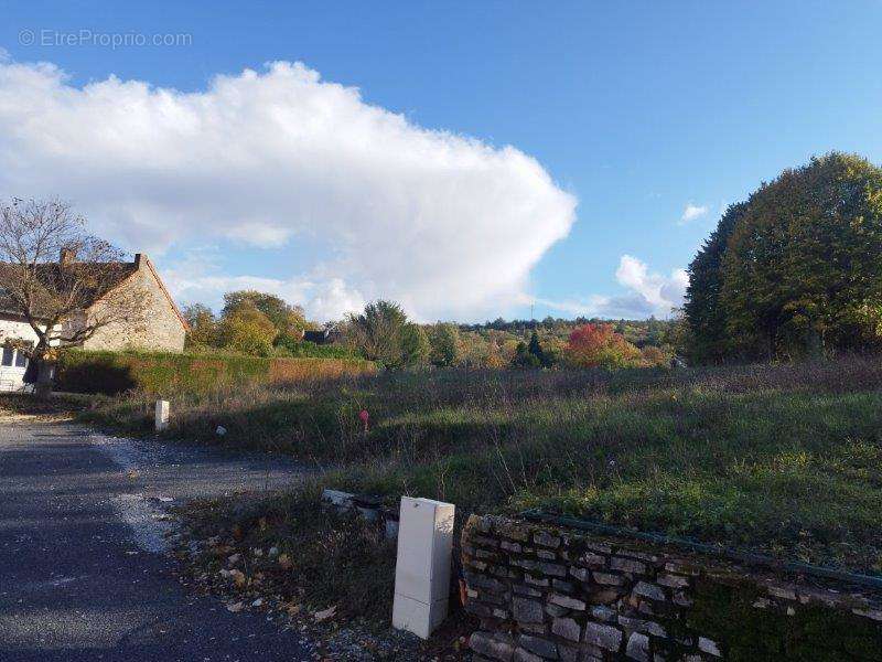 Terrain à REMIGNY