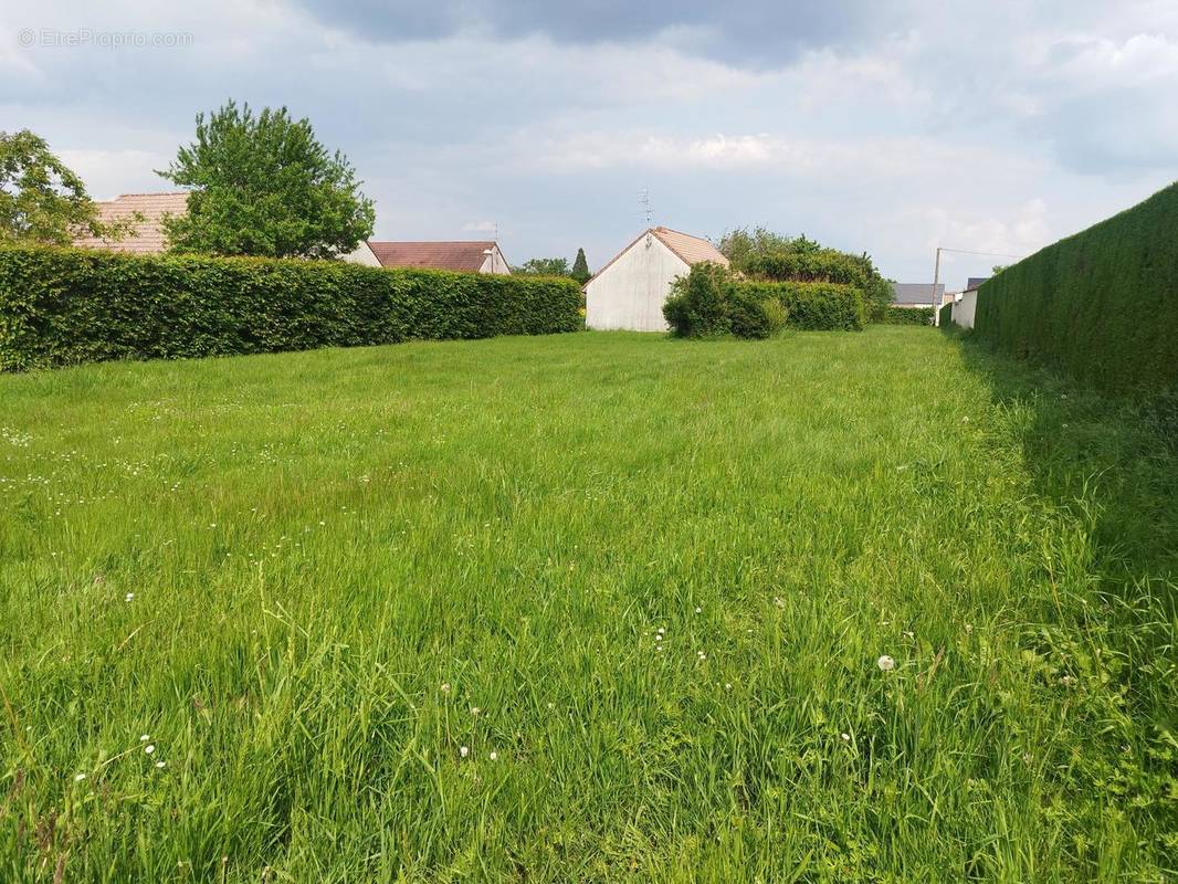 Terrain à SAINT-LOUP-GEANGES