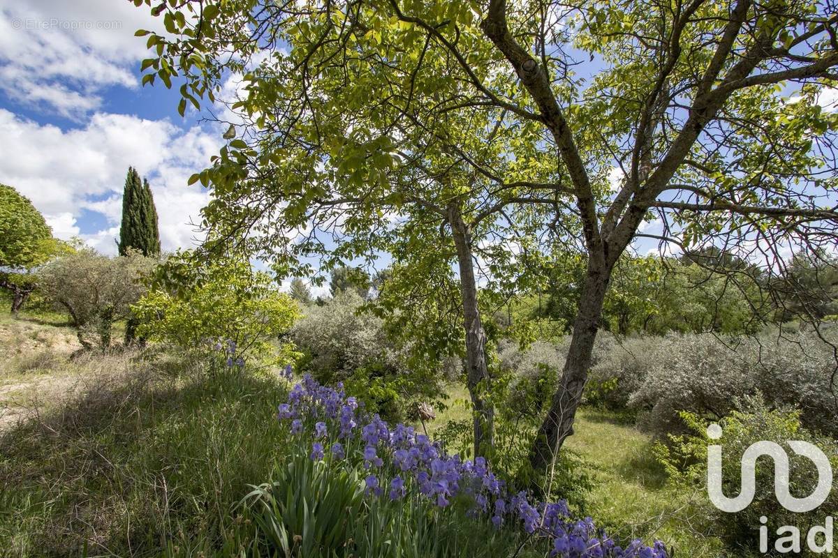 Photo 1 - Terrain à VALENSOLE