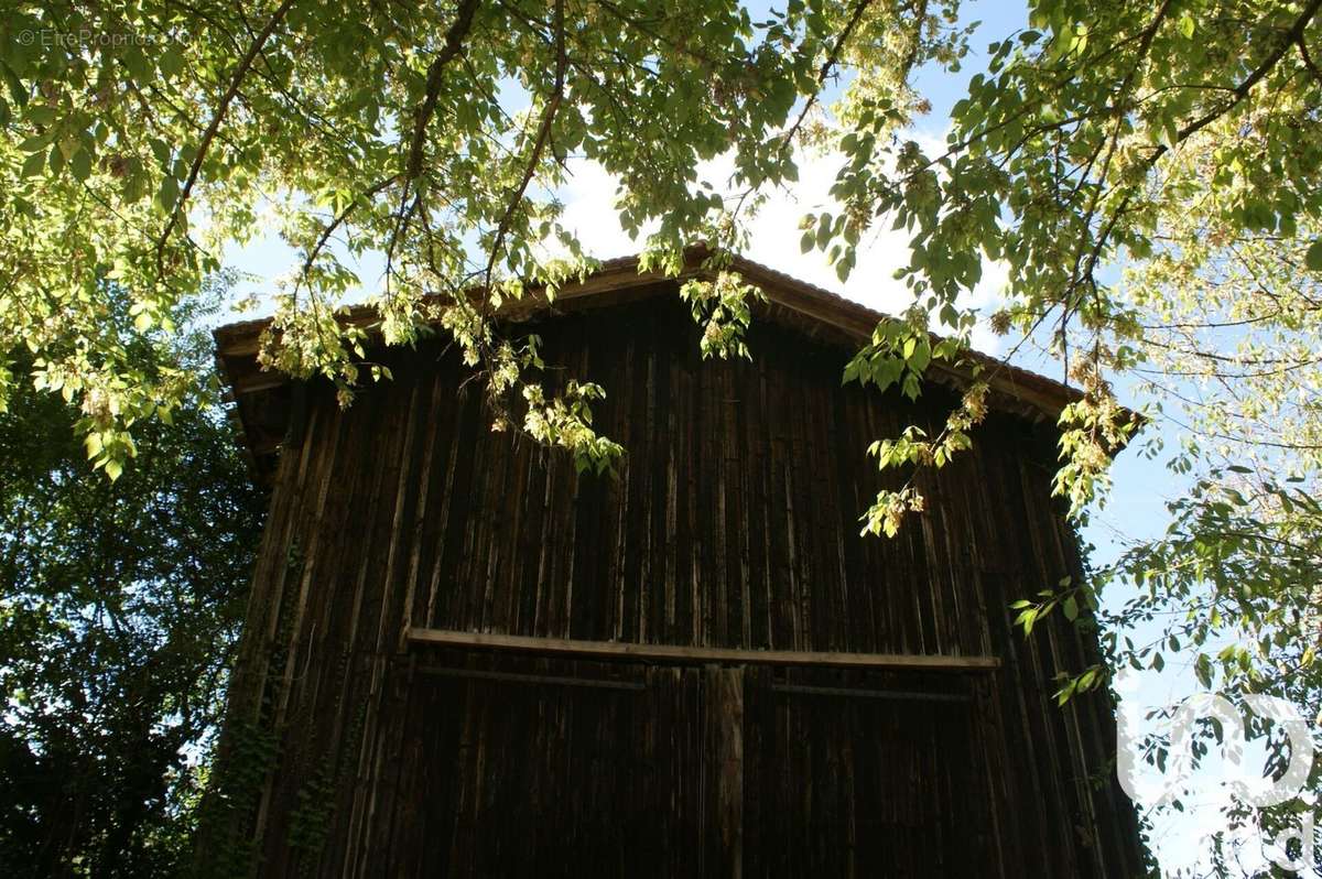 Photo 3 - Maison à MEILHAN-SUR-GARONNE