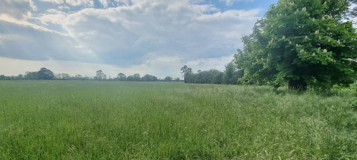 Terrain à SAINT-GEORGES-DE-REX