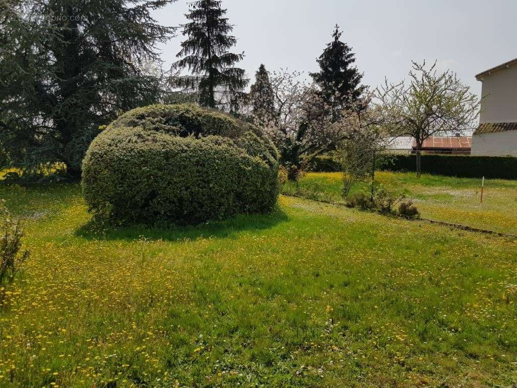 Terrain à AIGONNAY