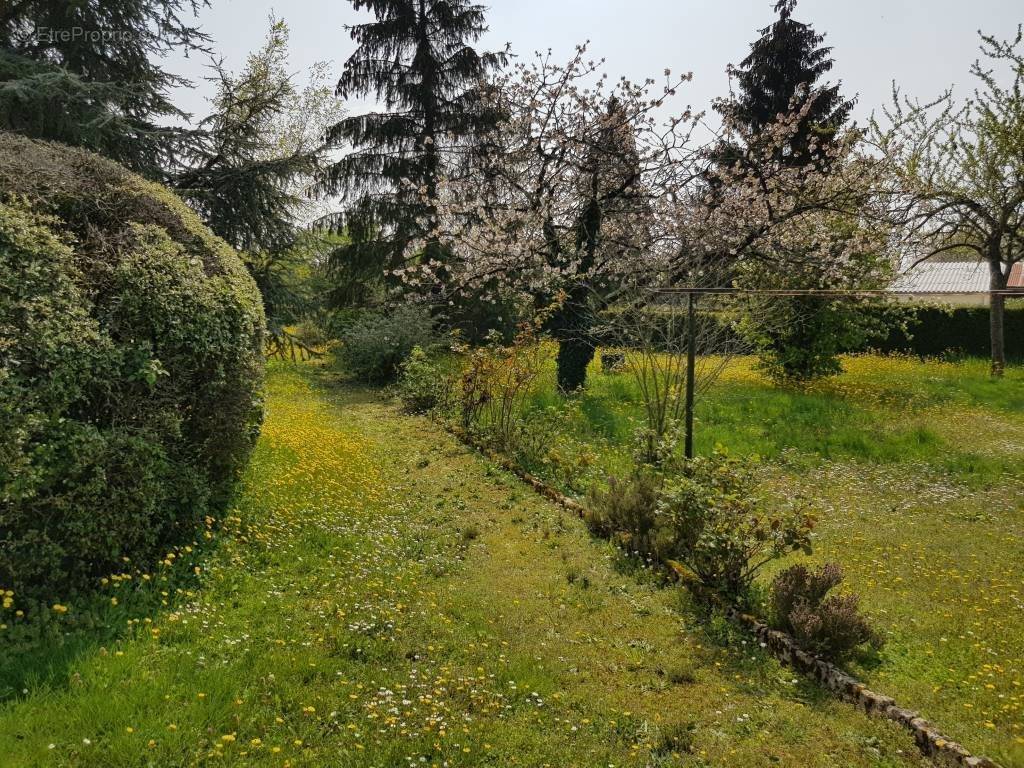 Terrain à AIGONNAY