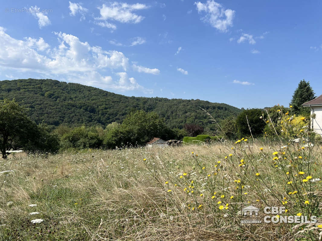 Terrain à SAINT-SERNIN-DU-BOIS