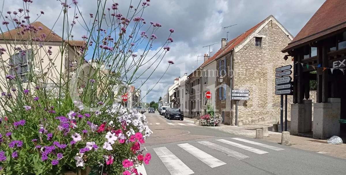 Maison à NOISY-LE-ROI