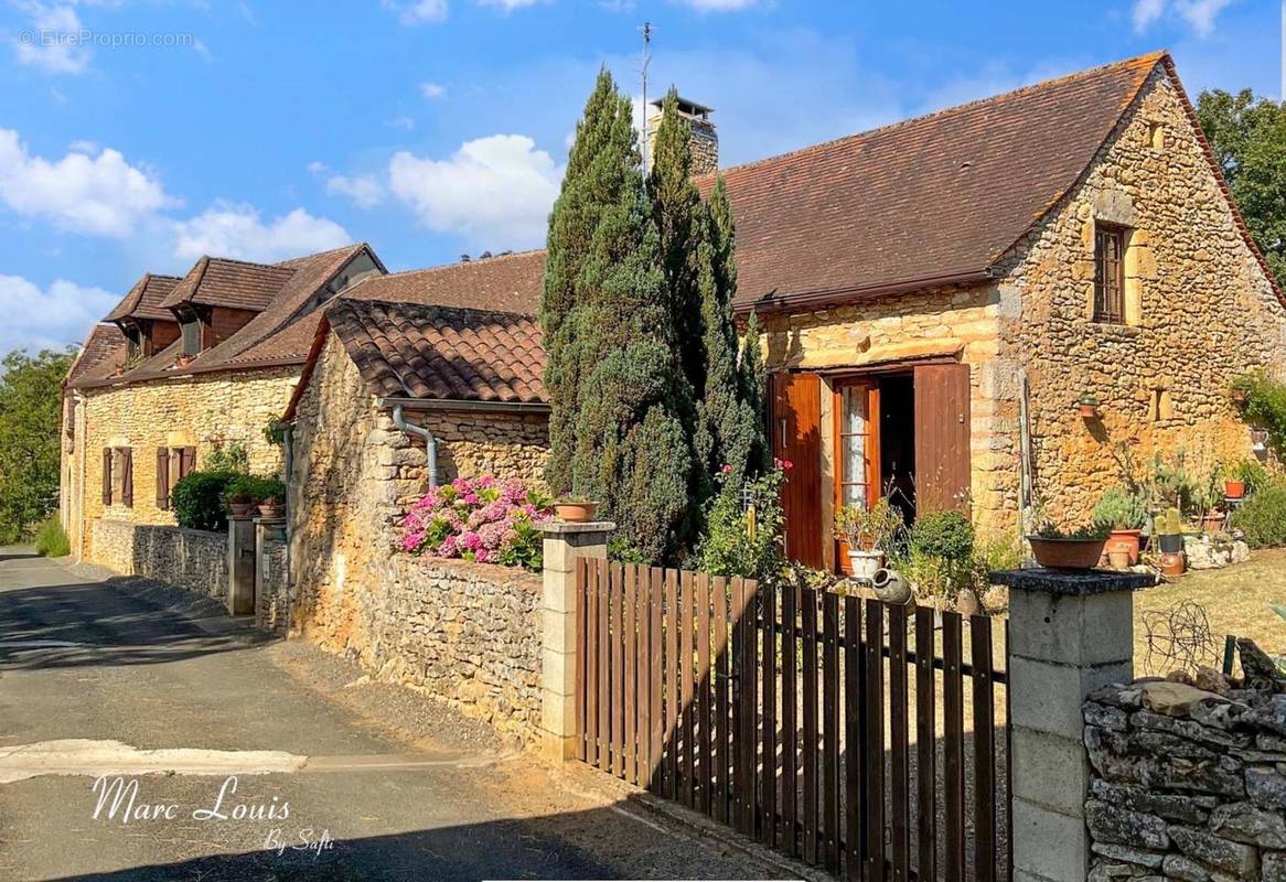 Photo 1 - Maison à LE BUISSON-DE-CADOUIN