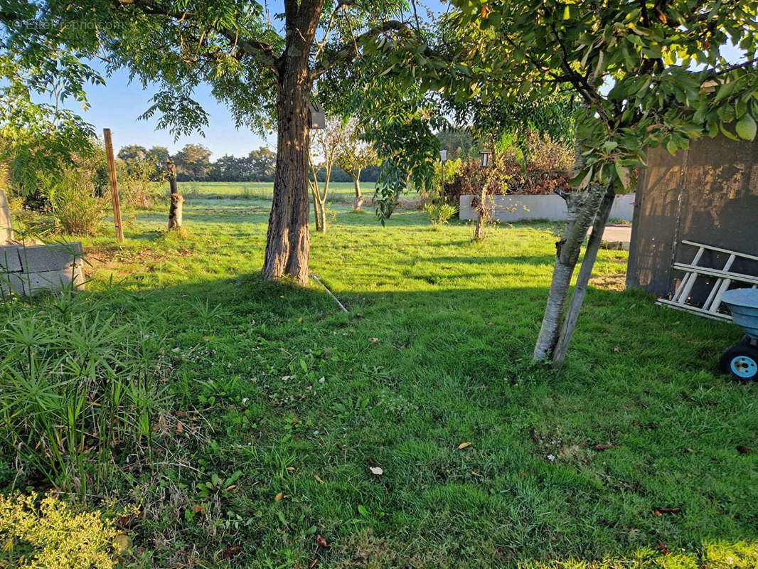 Terrain à SAINTE-FOY