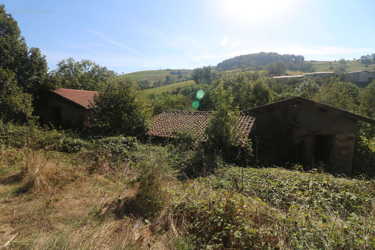 Maison à SAINT-CHRISTO-EN-JAREZ