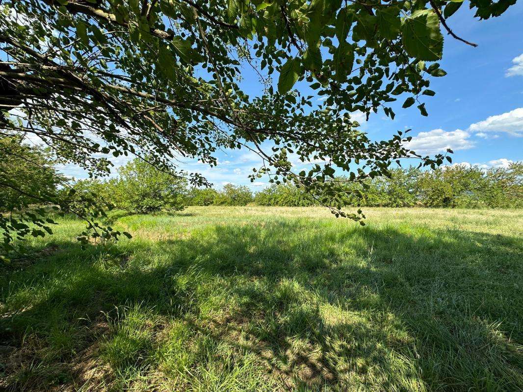 Terrain à BERRIAS-ET-CASTELJAU