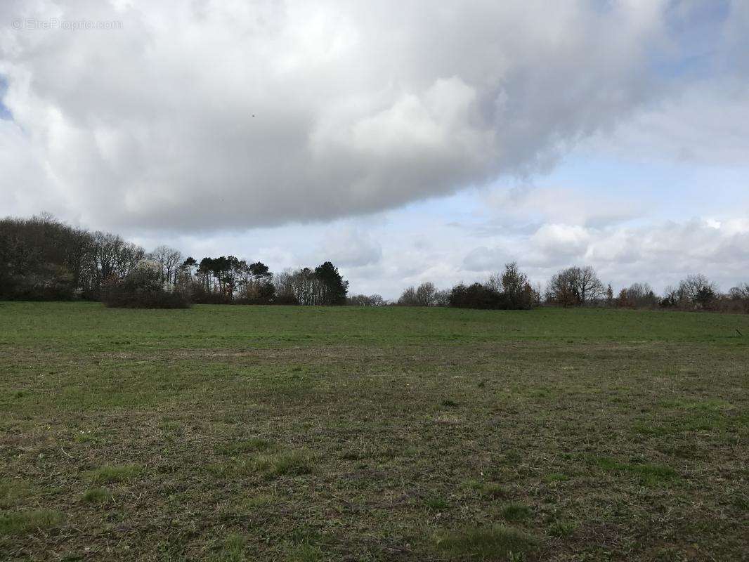 Terrain à LANQUAIS