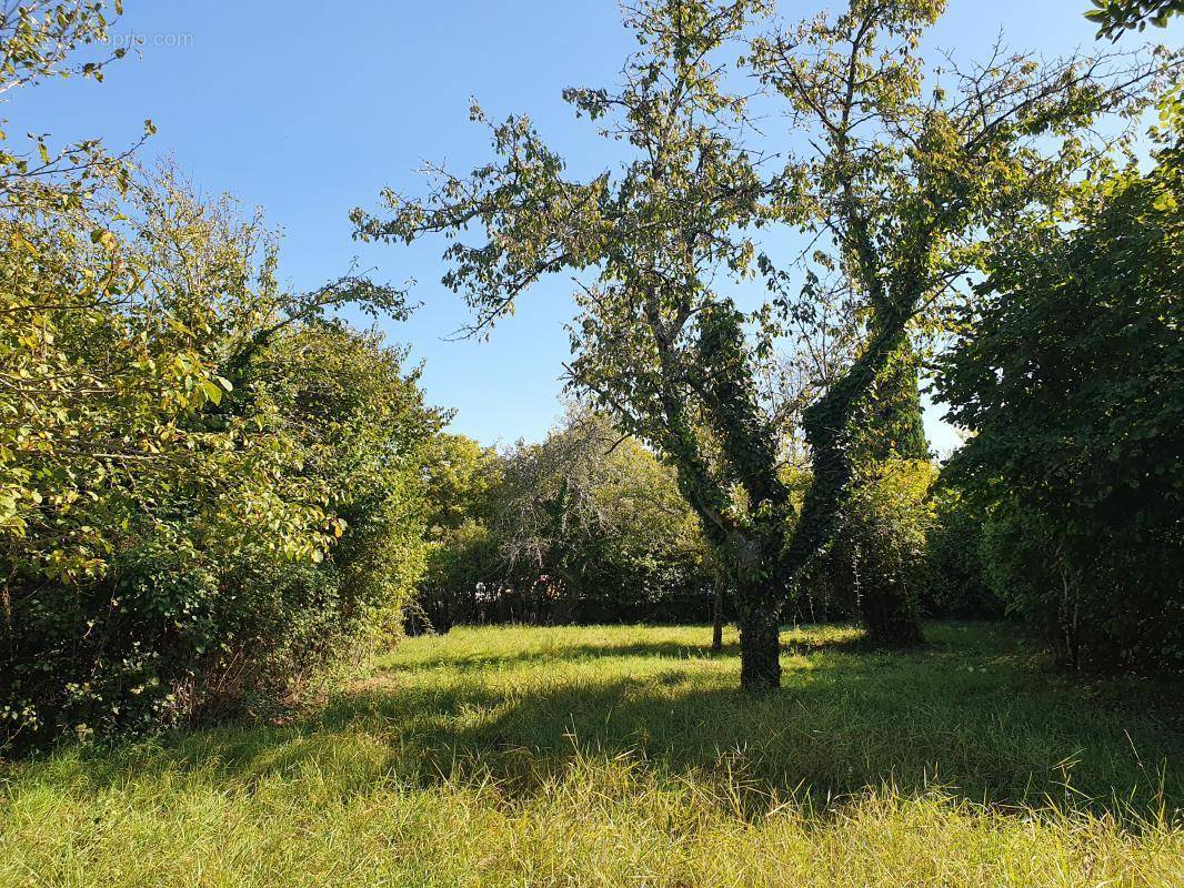 Terrain à SADIRAC