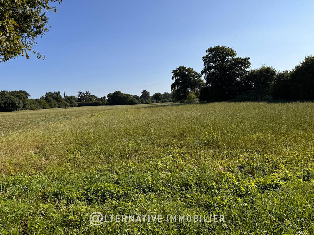 Terrain à LA GUERCHE-DE-BRETAGNE