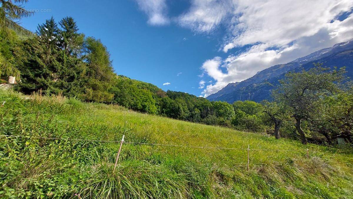 Terrain à VAUJANY