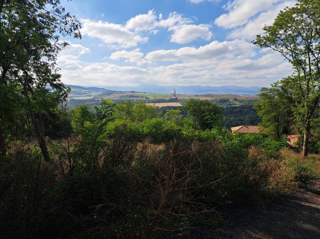 Terrain à MEZEL